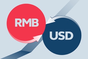 RMB Currency Options